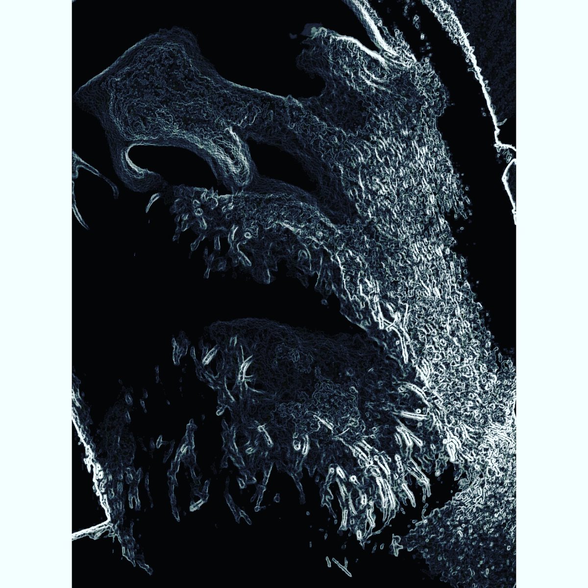 JBWatkins_Art's tweet photo. No shave November is about to end early.
#NoShaveNovember #beard #shavedsunday #SelfieSunday #art #portraitnovember https://t.co/g0zoLLuncg