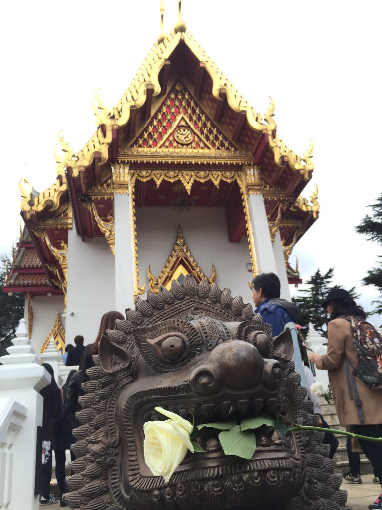 Khanomkrokuk's tweet photo. Happy #Loykrathong from #buddhapadipa https://t.co/T4T63TZHDv