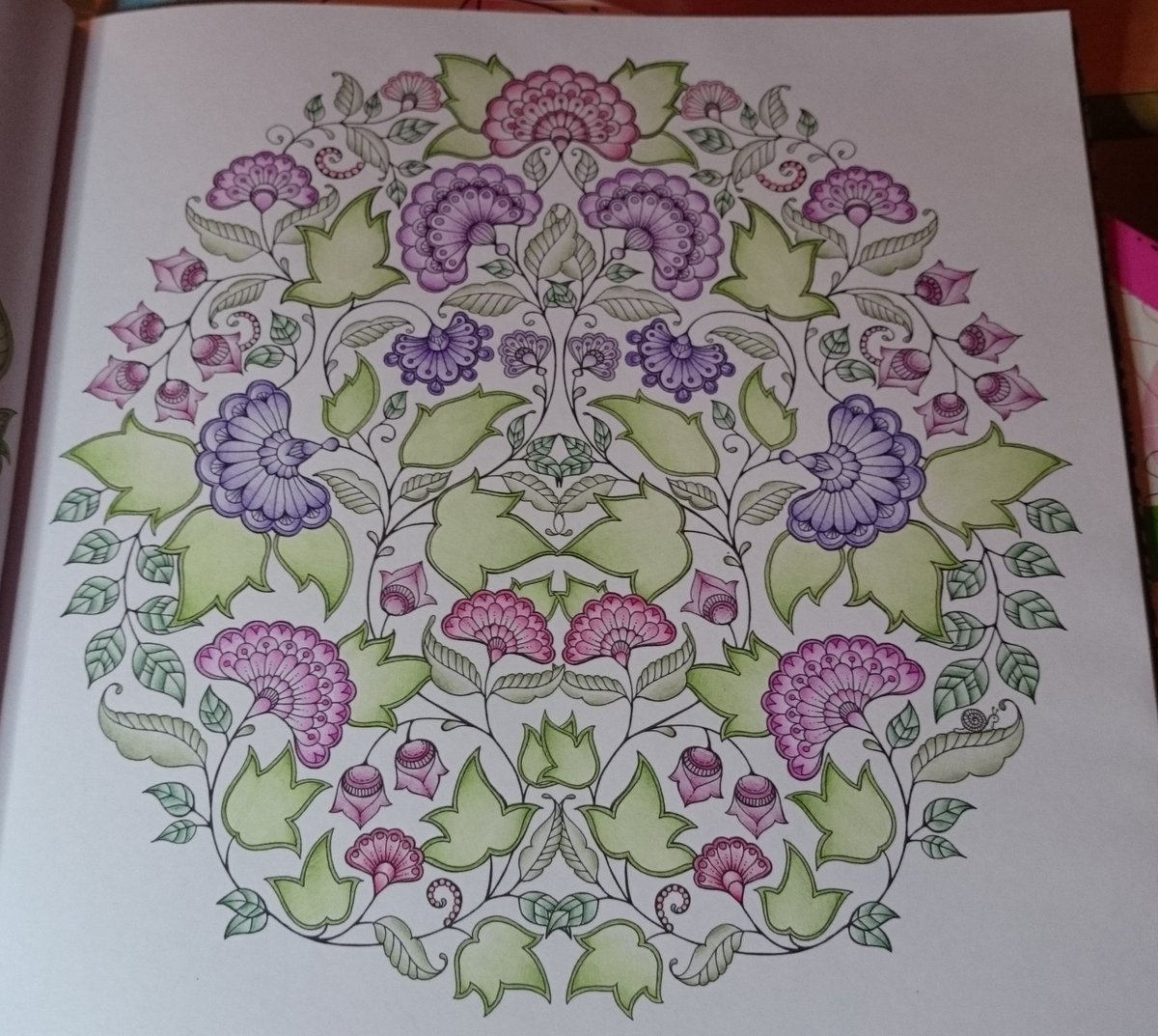 annahawk81's tweet image. #jardinsecret #secretgarden