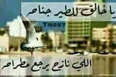 74Rafla's tweet photo. https://t.co/2a5P2qPffa