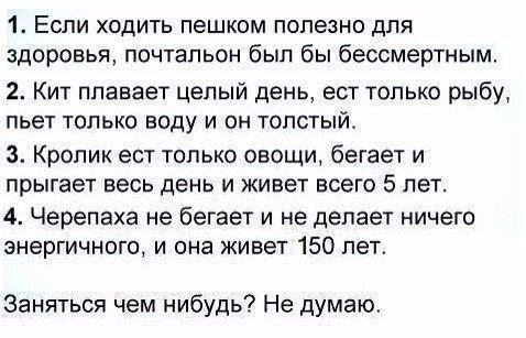 KapitanKenguru's tweet image. 