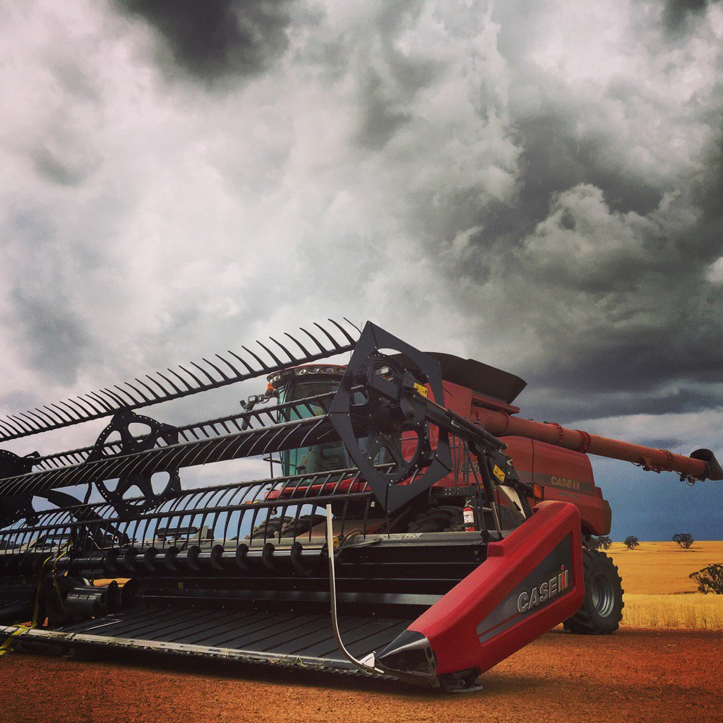 LeonRyan4's tweet image. Elnino harvest #paddockpride