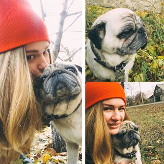Joy_PhotoCam's tweet photo. ни один дровосек не тронет моего серого волка😍🐶
#мойпёс #мопс #mylove #mydog #pug #sweethom https://t.co/pkkEMJxeRK https://t.co/txf4GuGz8C