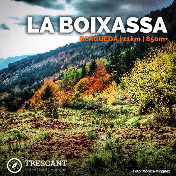 TRESCANTrutes's tweet photo. La Boixassa 10Km 850m+ #berguedà 
https://t.co/xx4PQhNIiE
#cadí #trailrunning #muntanya #trescantrutes https://t.co/TZW2b3R2LK