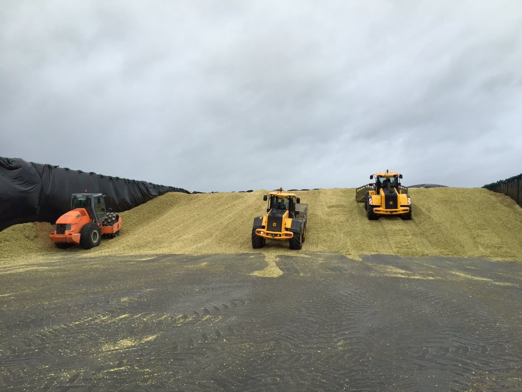 farmerThomo's tweet photo. Just had a Sunday session on the Compactor, hellish tool #maize15 #harvest15 https://t.co/1c55CGmoZF