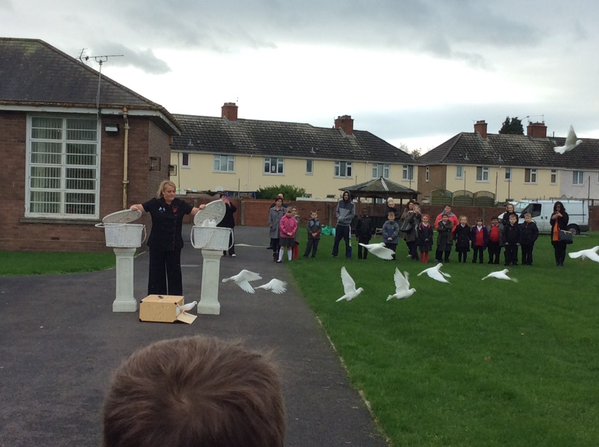 AllDovedUP's tweet photo. All doved up provided a large flock of doves for a rememberance service for primary school pupils https://t.co/04Sdu1oTeJ