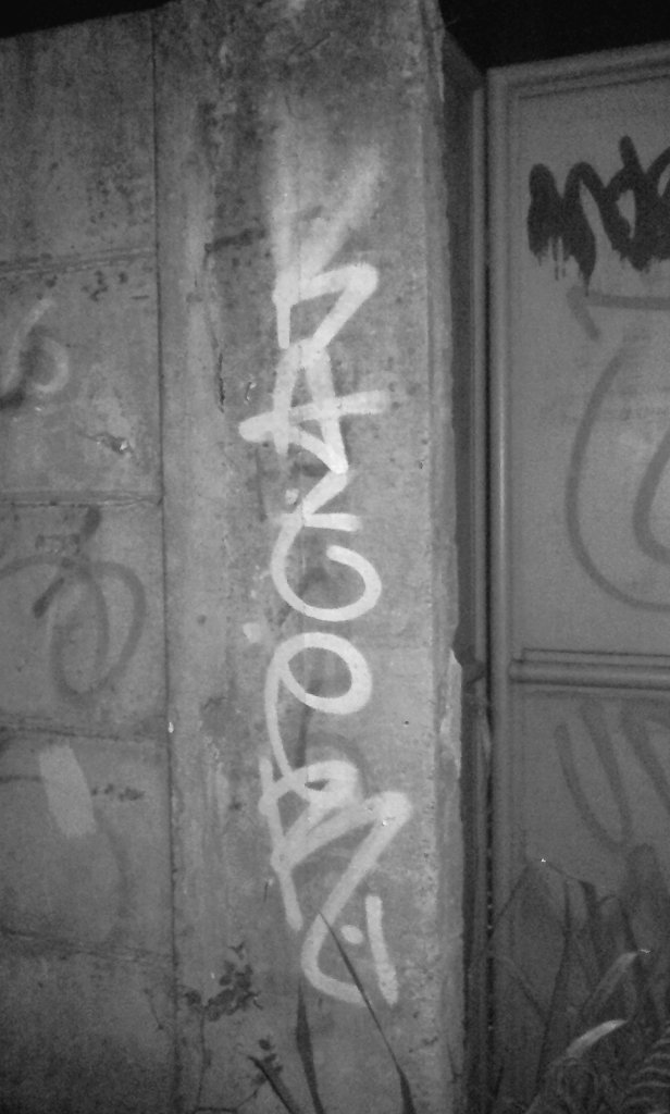 Kater #BerawkFamily <a href="/BERAWK_OFFICIAL/">This Is BEERawks</a>