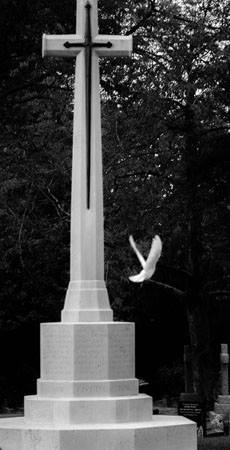 AllDovedUP's tweet photo. White doves for Funerals and memorials, we will also prepare a verse or poem fitting to youre loved one https://t.co/7vA9lA1wPZ