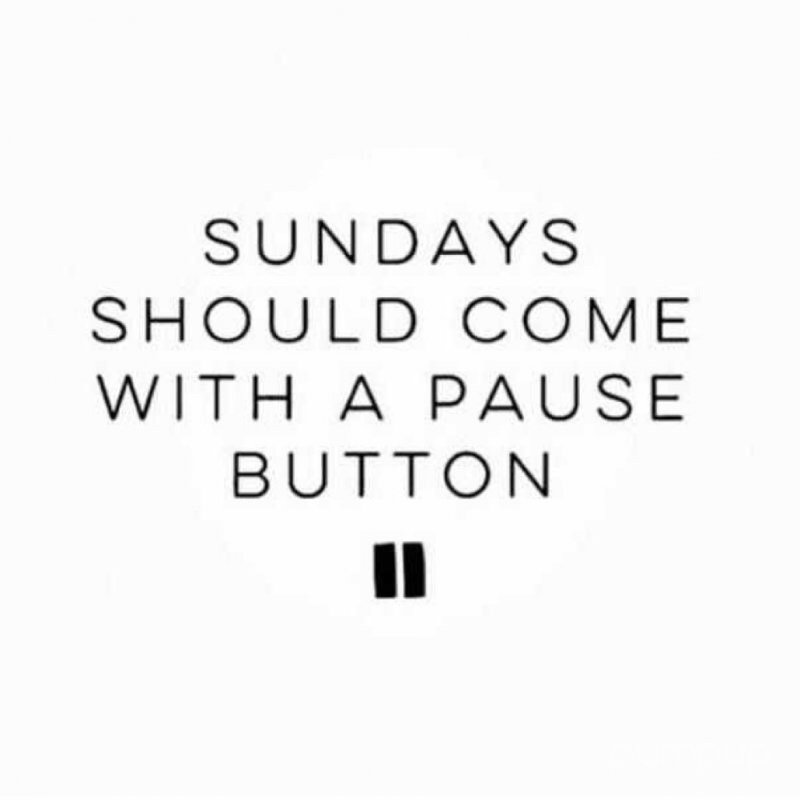 naroki's tweet photo. Sunday funday. Dont you think should this day have a puase button? Lol @PumpUp #TeamPumpUp #befitt #roviam https://t.co/IOQzsWrdfl