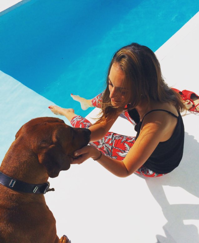 Ridgeback lovin #summer days #Capetown #doglovers