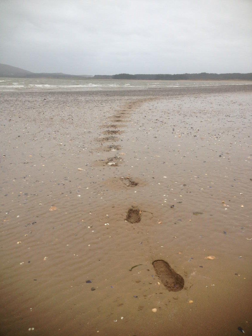 rhsnake's tweet photo. Great practice for snowy conditions! #runwithsid https://t.co/uiOBr2MewZ