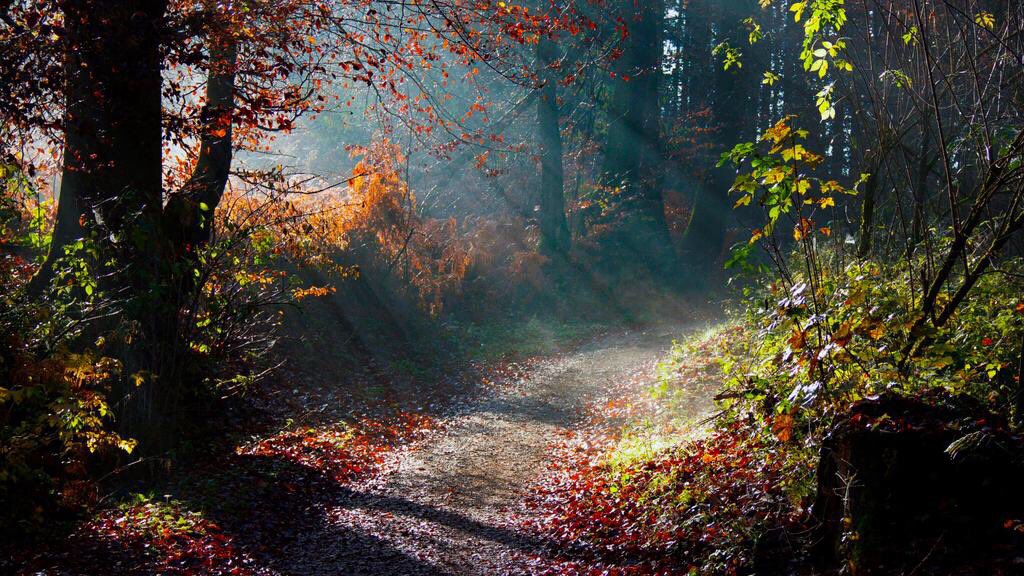 Tell me - and I forget,
Teach me - and I remember,
Involve me - and I learn.
Benjamin Franklin