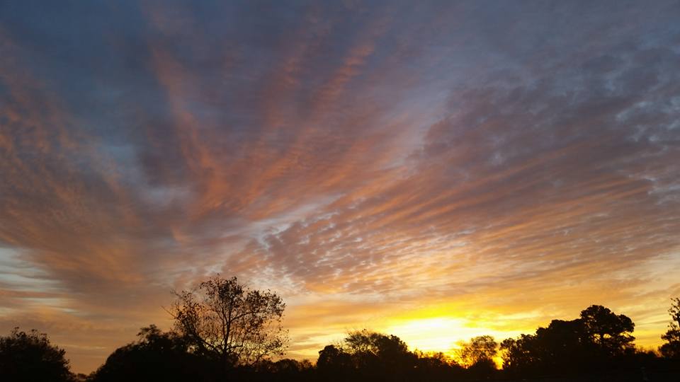 wsbtv's tweet image. Rise and shine #Atlanta! Join @SophiaWSB @DaveHWSB @SteveGWSB @BMonahanWSB and @RikkiKlausWSB this AM!