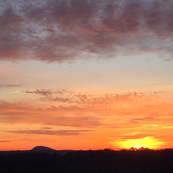 wsbtv's tweet image. Rise and shine #Atlanta! Join @SophiaWSB @DaveHWSB @SteveGWSB @BMonahanWSB and @RikkiKlausWSB this AM!