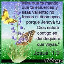 mabelalegomez's tweet photo. https://t.co/TA5WXuRWcf