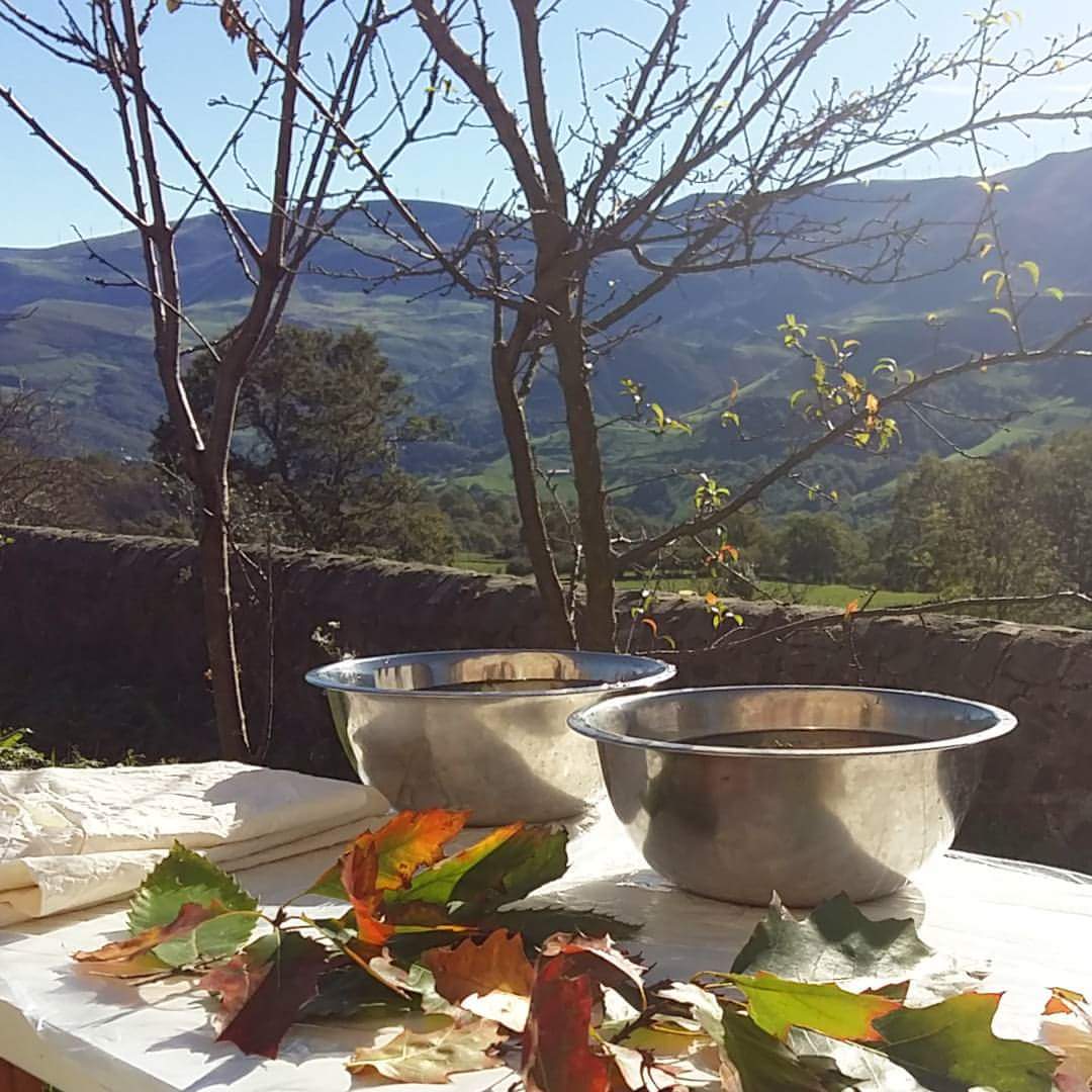 MundoLanar's tweet photo. Domingo de #Ecoprint en el jardín. #TintesNaturales #AlgodónOrgánico #NaturalDyes #SlowTextileConcept @tinctorea https://t.co/A6BGySv57p