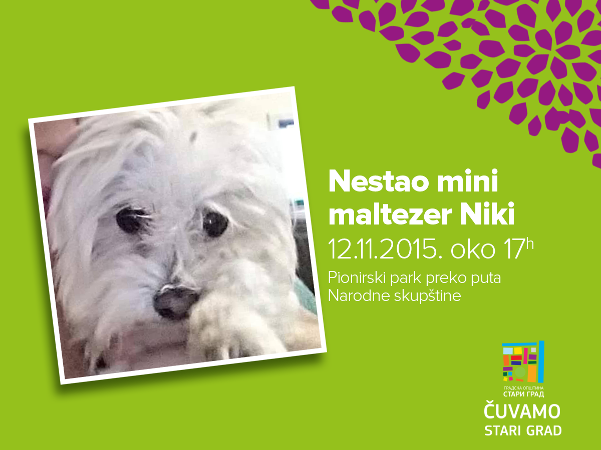 CuvamoStarigrad's tweet photo. U #PionirskiPark nestao #miniMaltezer NIKI! Ako ga vidite javite nam se u inbox FB: https://t.co/nyxXRYMFMv PLS #RT https://t.co/0Fpd54Ybap