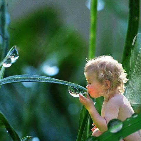 Sabba7Ali tweet picture