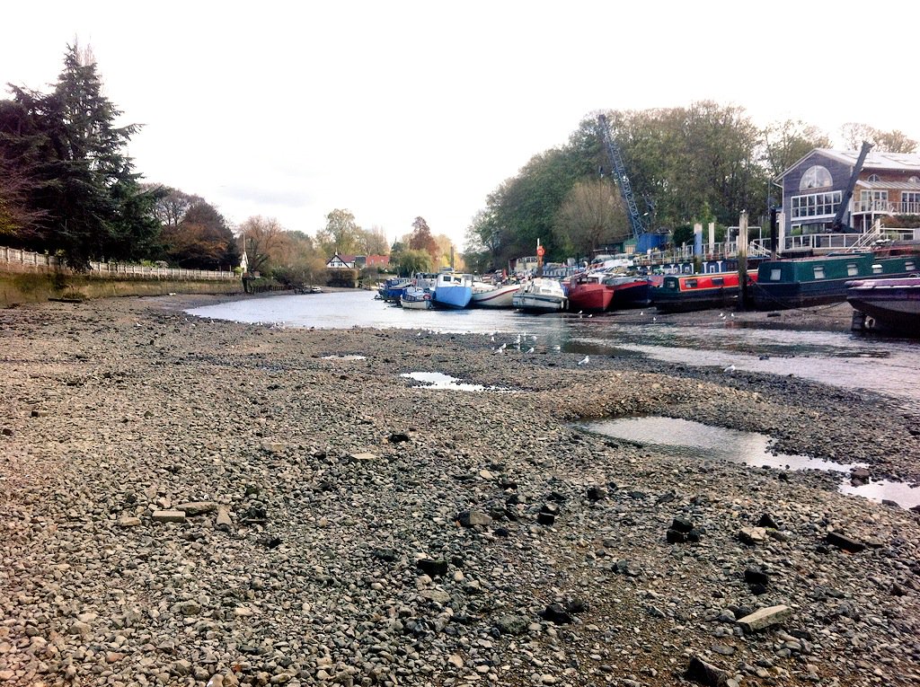 The 'draw off' at Richmond weir and lock means low tide in Twickenham looks a bit like this...