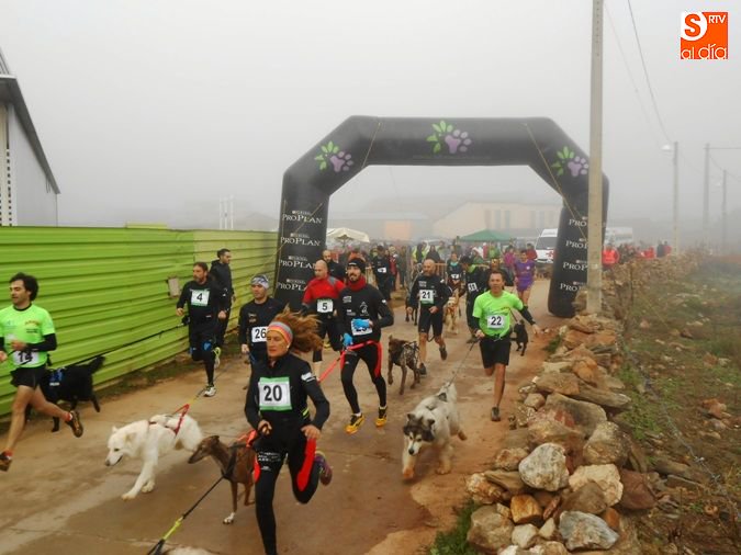 SArtvALDIA's tweet photo. ATLETISMO | Éxito de participación en la segunda prueba de la II Liga de @CaniCrossSalmnc https://t.co/GwrloyqHEj https://t.co/345wLHYp7V