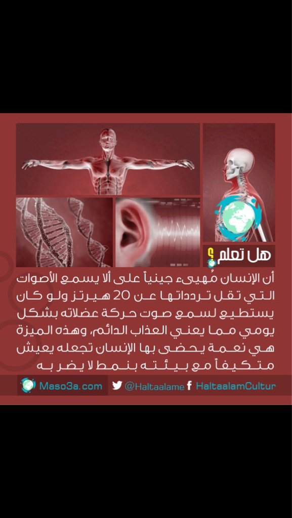 7mod_ta tweet picture