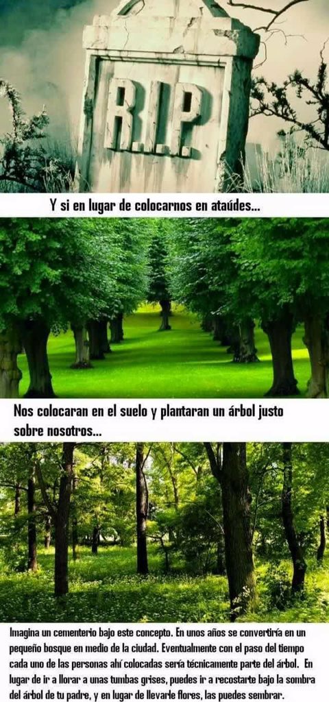 Hache81's tweet photo. Me parece una excelente idea 😀 https://t.co/RiPr7AEUcD