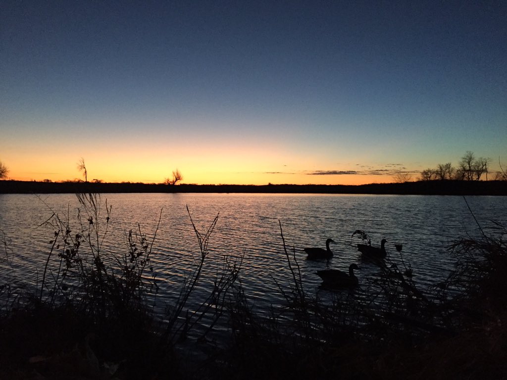 Iowa_HF_Supply's tweet image. Beautiful sunrise in Warren County this morning #blessed #goosehunting #wackNstack