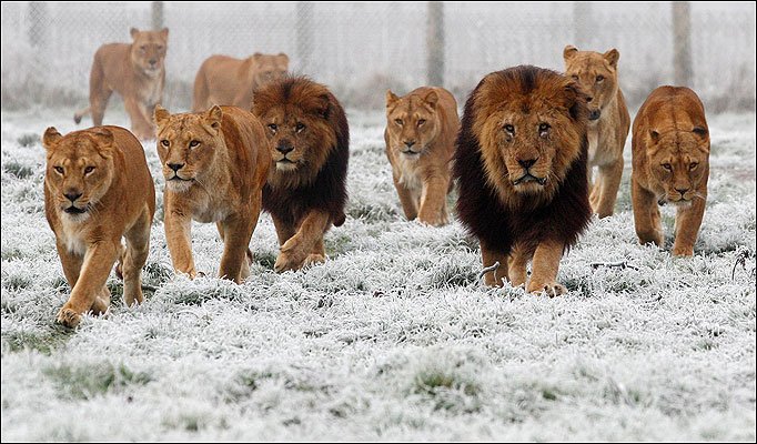 Landinfitness's tweet photo. Surround yourself with like-minded individuals
#fitfam #Life #fitness https://t.co/qReyjZ4Lsb
