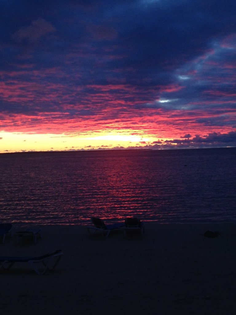 randomfriend666's tweet image. 