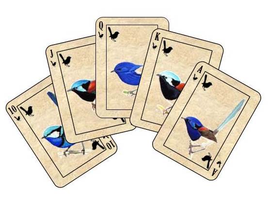 StarkRavenMad_'s tweet photo. Thank you to everyone for a wonderful, fun #WATwitchathon 2015. Time for some rest, or maybe a game of cards... https://t.co/orrGThDwVD