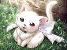 ColitaLuis's tweet photo. #nekas #siguemeytesigo #kawai #DomingoDeGanarSeguidores #buenadia https://t.co/o7wxdwU0Ka