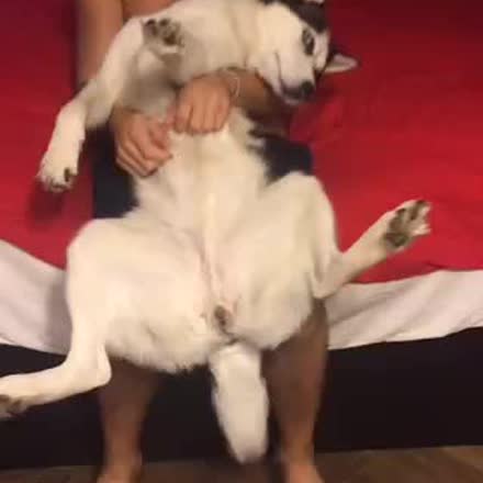 |REPLAY| Ахаххаха👻👻👻 #katch #Periscope ktch.tv/452M