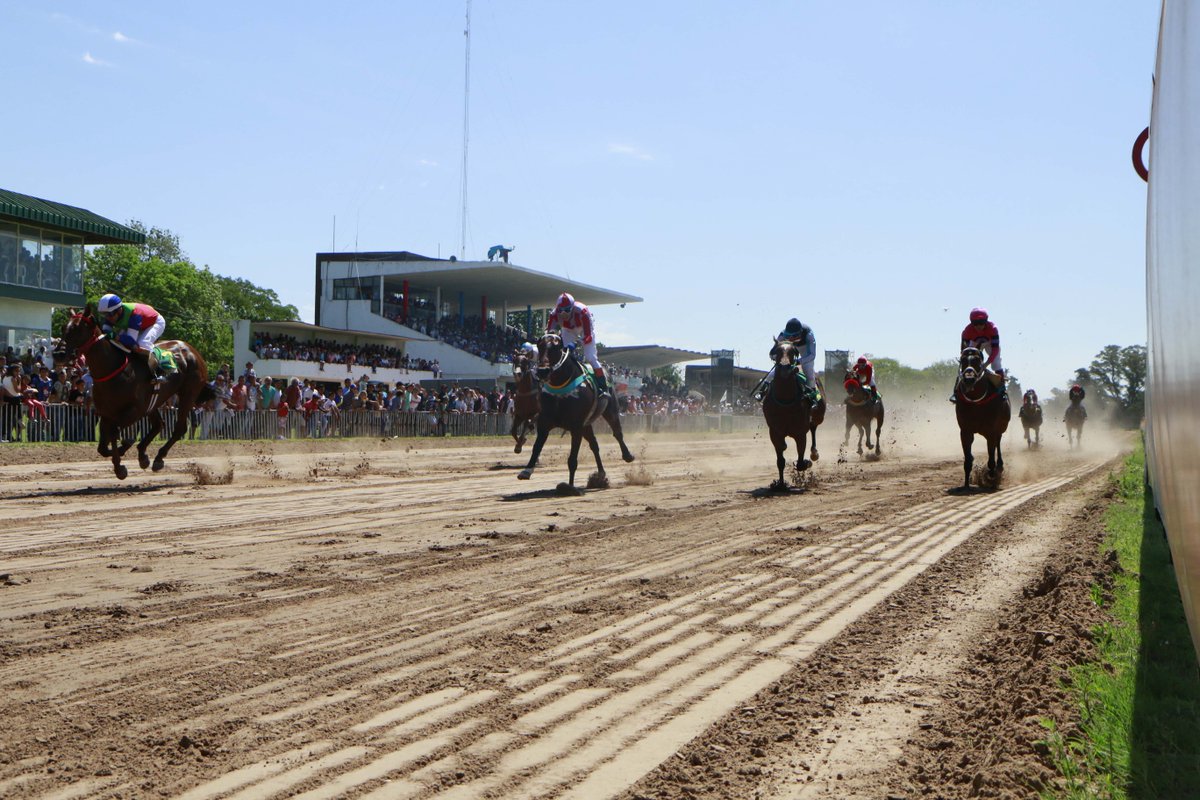 LasFloresTurf's tweet photo. Clásico Juan de Garay. Ganó Rio Gurupi Key. Stud LL El Relincho, con la monta de Pablo G. Falero https://t.co/MchAs49fsH