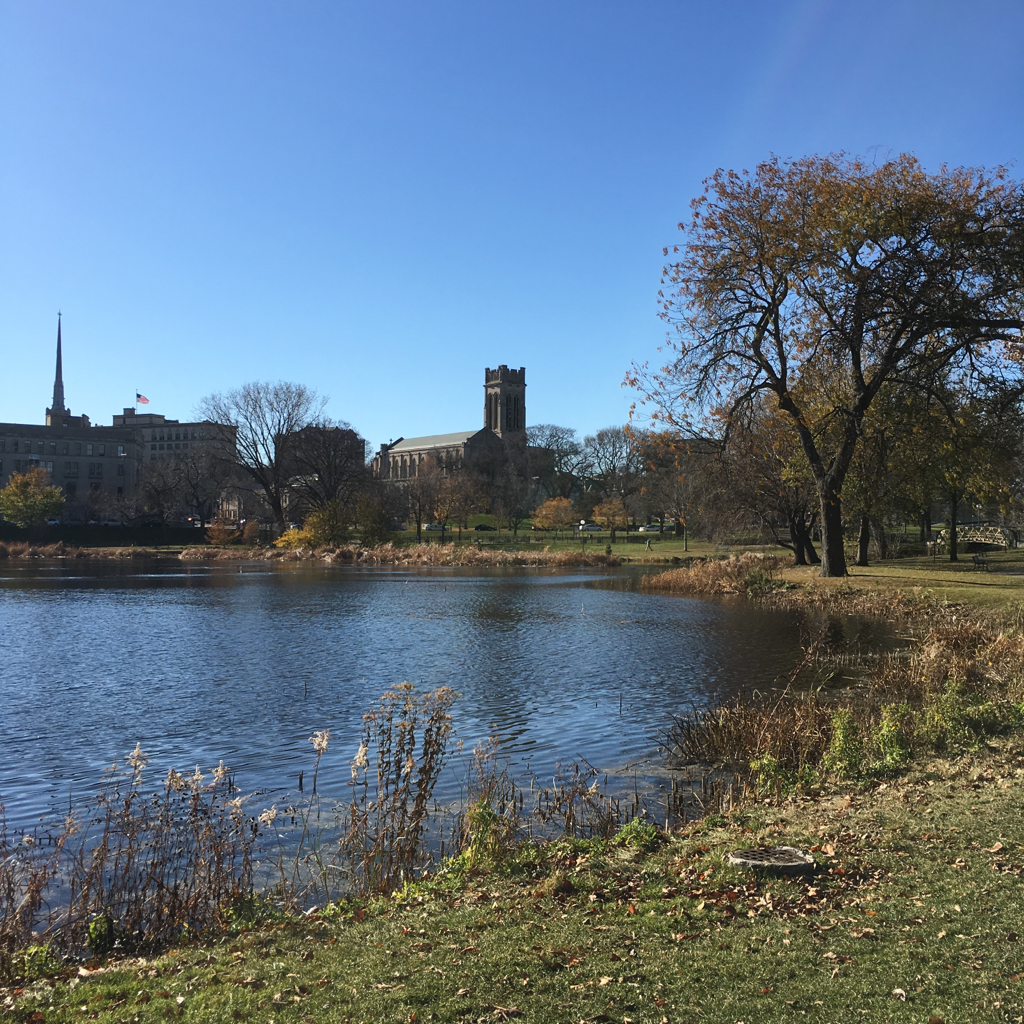 straikat's tweet photo. Enjoying a post-conference walk in Loring Park. Spectacular day. #litaforum #Minneapolis #endlessfall https://t.co/LAt8zqDHqF