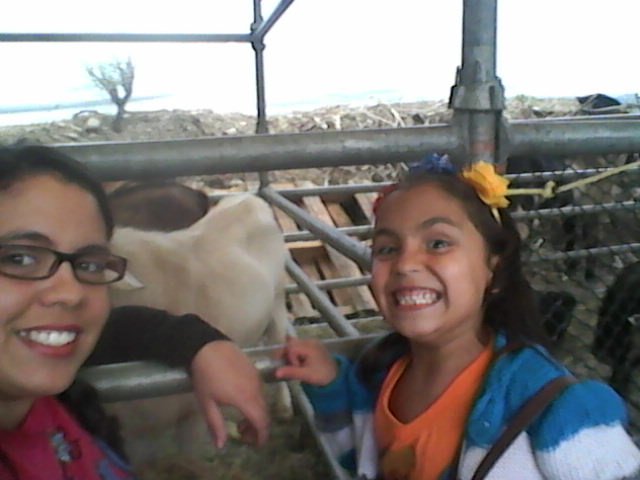 RomeliaMP88's tweet photo. #Feliz #FelizSabado #HechoEnMerida Noelia feliz con tantos animales @HechoenMerida15 https://t.co/OtcL1wzISm