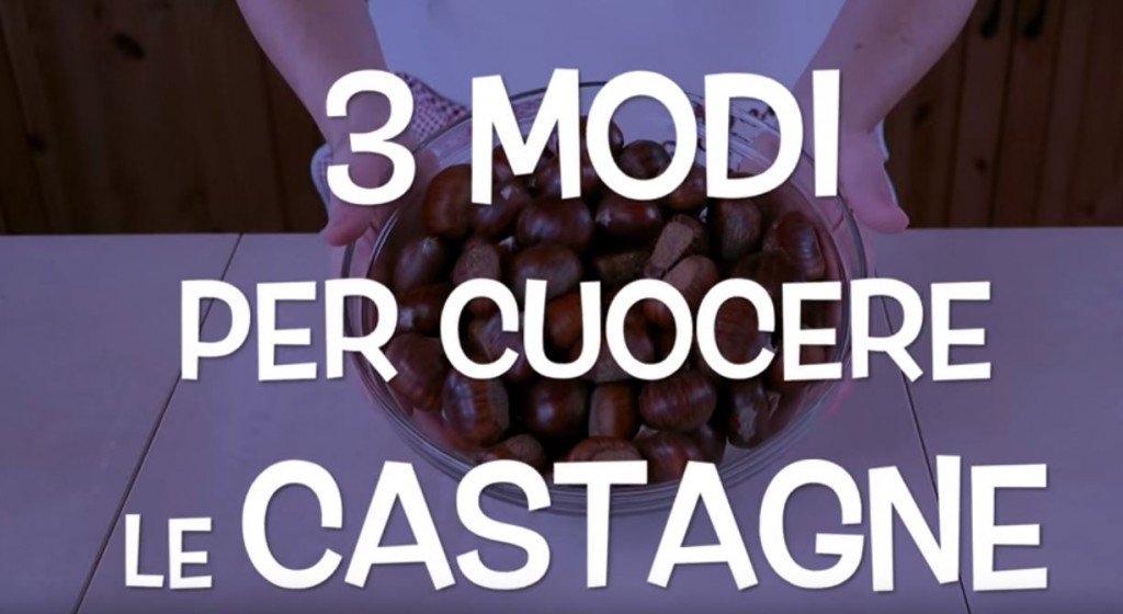 dailylikeit's tweet photo. Cuocere Le Castagne: Tre Modi ...
https://t.co/DIVOPS4E5u - #ComeFare #Condividi #Cucina #Howto #Video https://t.co/HMq0kfG4EA