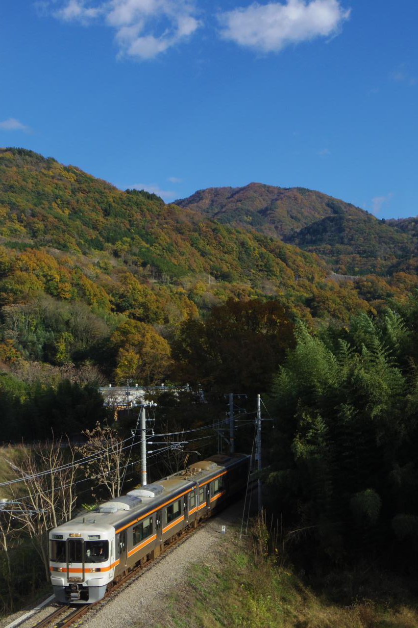 フジクワ on Twitter