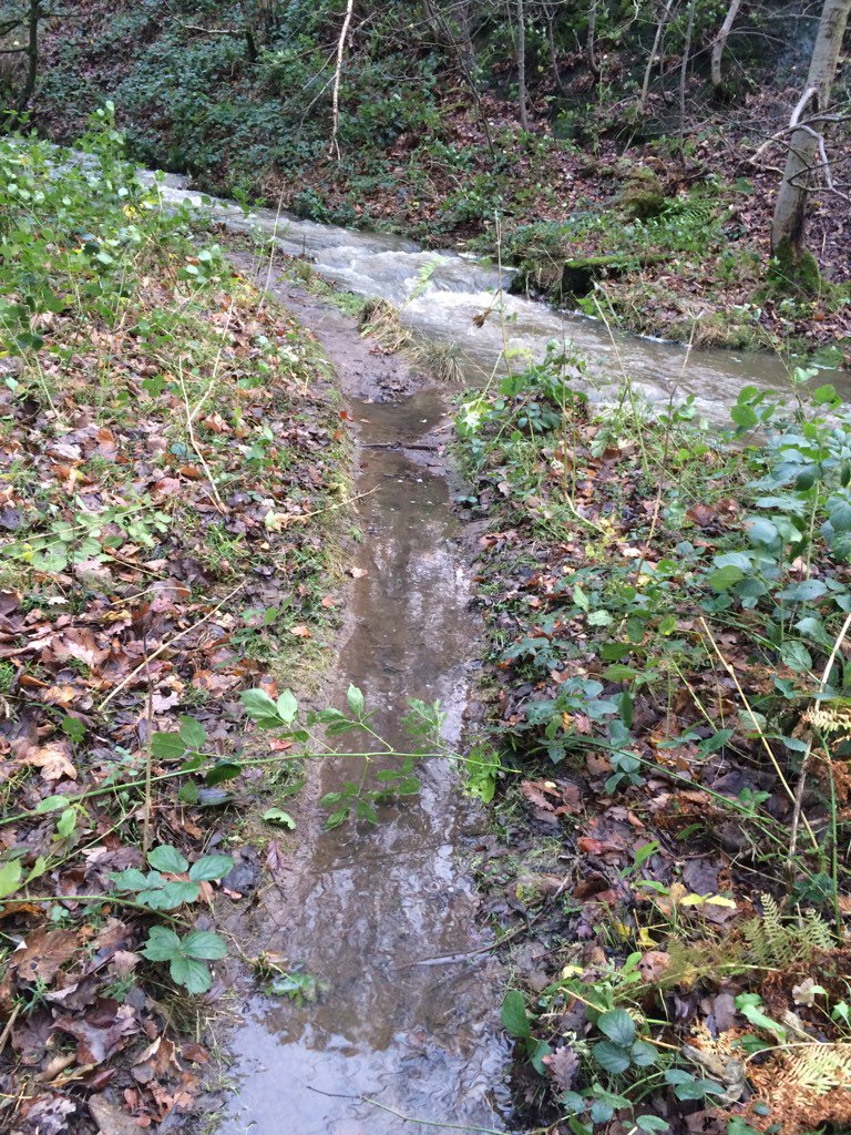 Bear Hunt Kirklees tweet media