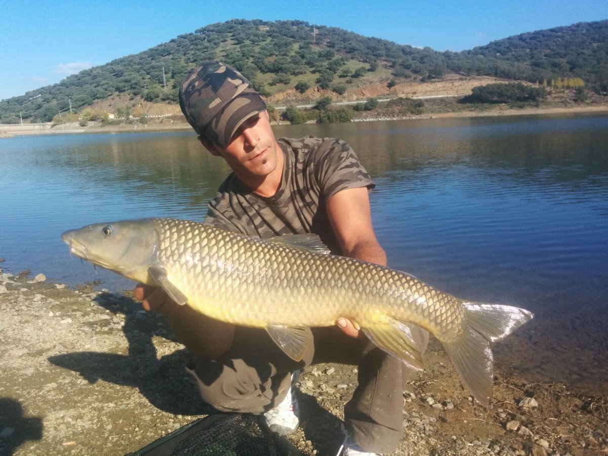 el tripode (@rafa_chery) on Twitter photo 