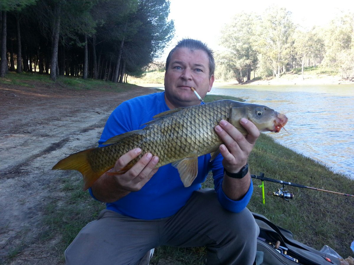 el tripode (@rafa_chery) on Twitter photo 