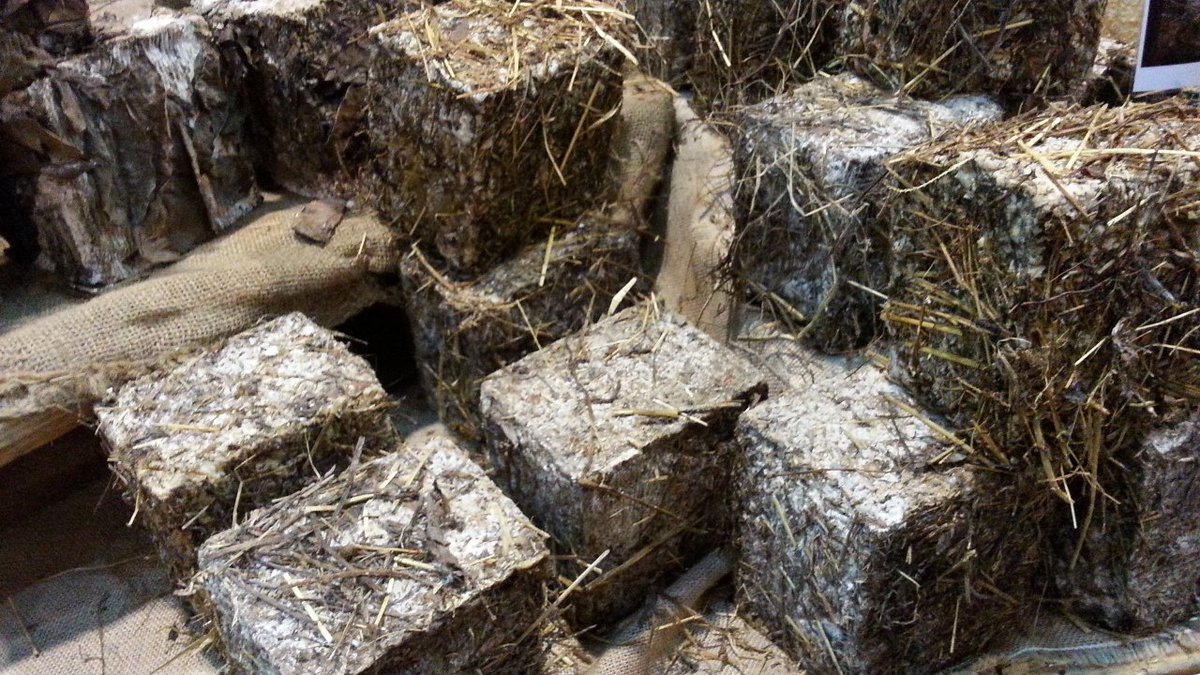 newsageagro's tweet photo. newsageagro.it - #Formaggio #santoscano #stagionato in #fieno #salva #cremasco @CremonaFiere @Altiformaggi https://t.co/dQu5rM7bTv