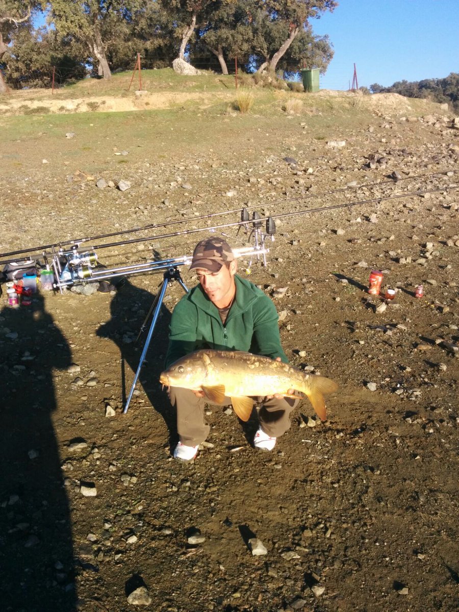 el tripode (@rafa_chery) on Twitter photo 