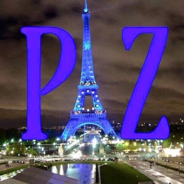 Pokhara8's tweet photo. Florilège de photos/dessins que j'ai aimés #ParisAttacks #WeAreOne by @LadiLafeFR en partie #WeAre974 #WeAreParis https://t.co/TJgbXIXMKT
