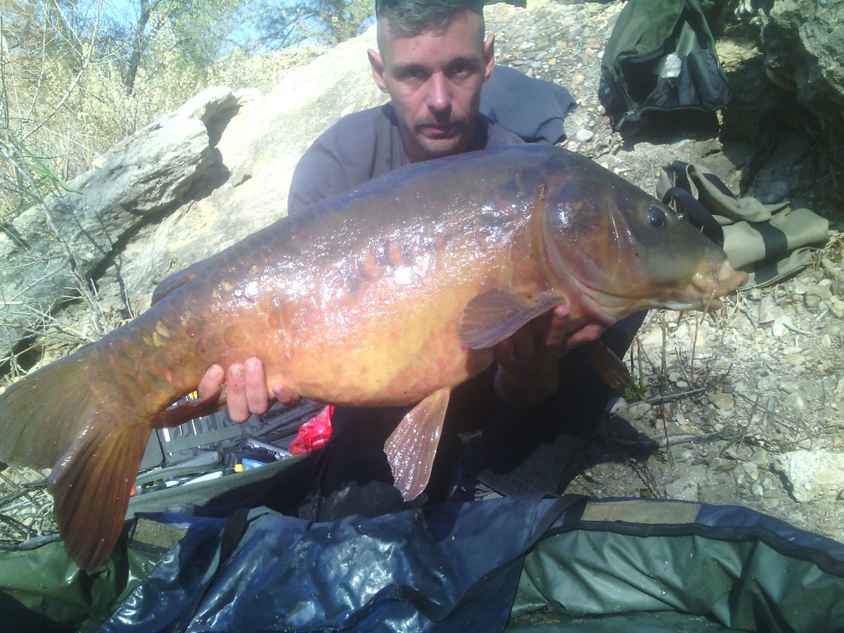 el tripode (@rafa_chery) on Twitter photo 