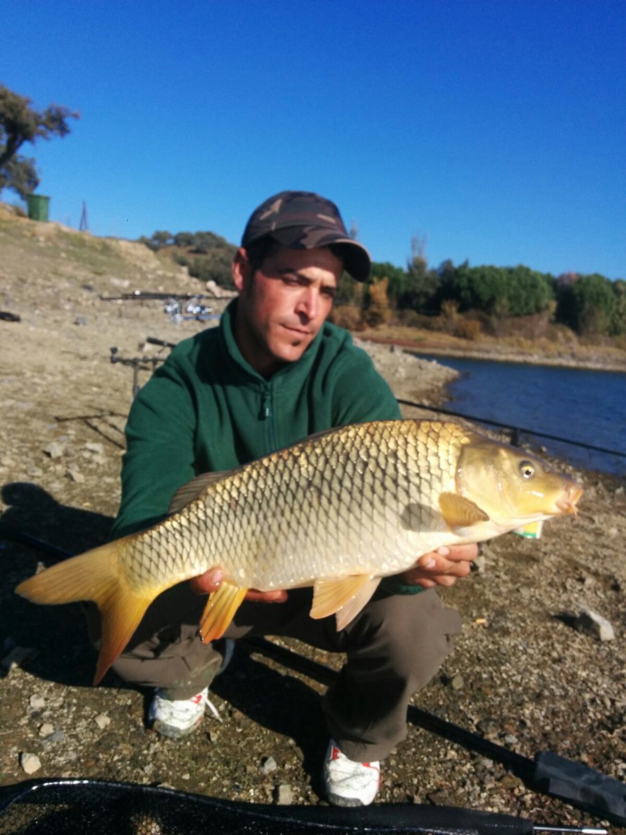 el tripode (@rafa_chery) on Twitter photo 