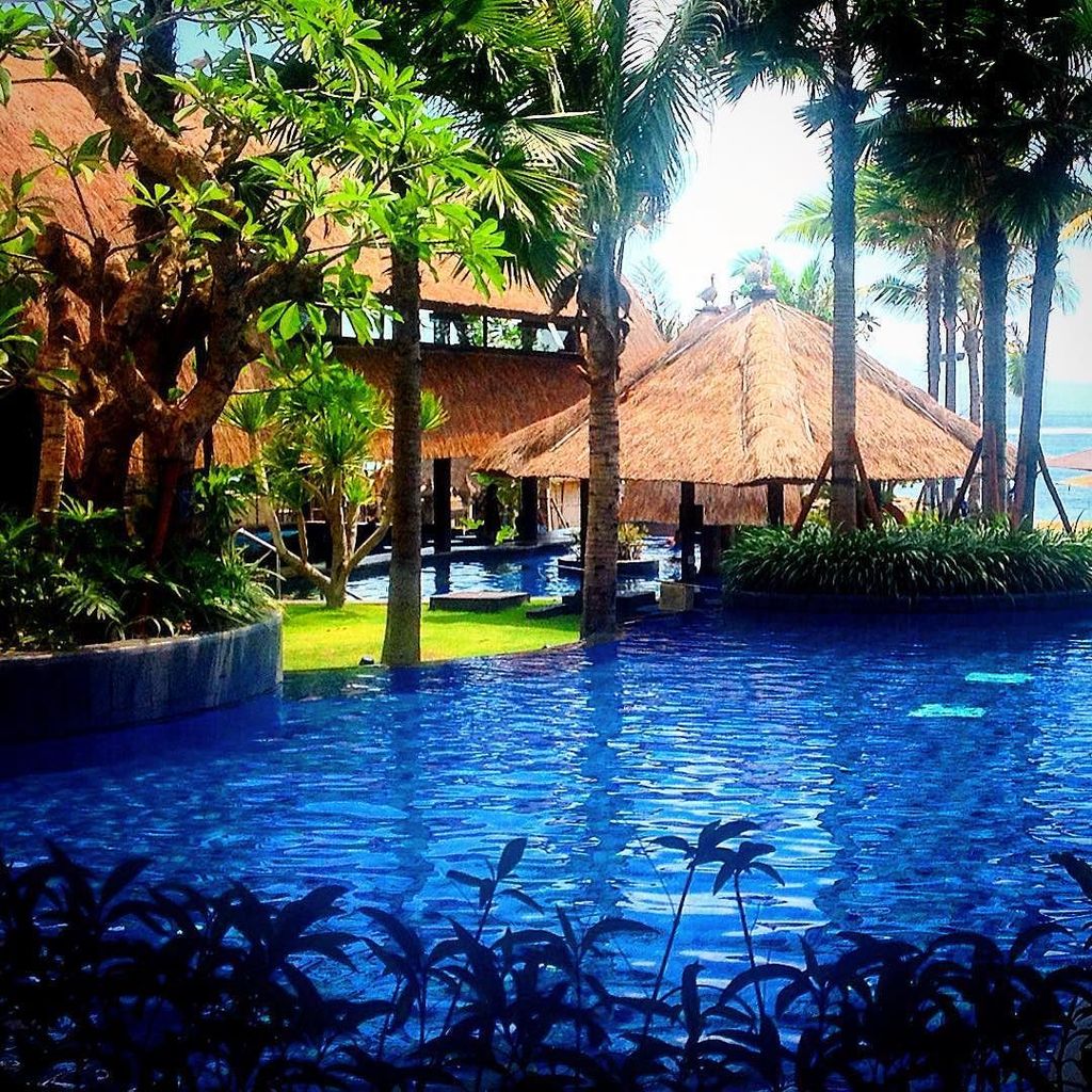 purelyangelina's tweet photo. A little piece of #paradise (with all mod cons) #60dollarsaday 
#travel #Bali #Indonesia #… https://t.co/rM3plbwjx6 https://t.co/h1npVgwtHN