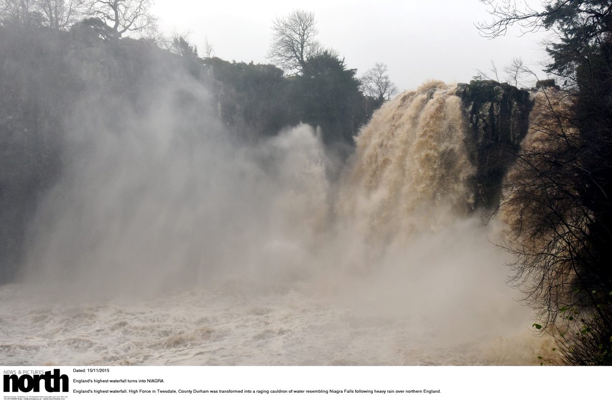 PAUL KINGSTON tweet media