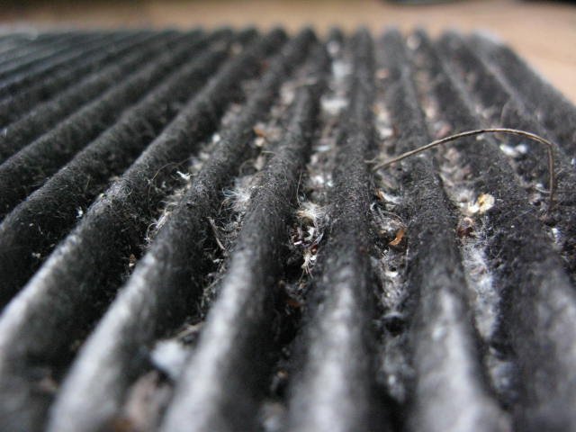 TacticalTwix's tweet photo. yup, this is one badly neglected pollen/A.C./cabin filter. sorry if you were eating. #subaru #checkyourfilter https://t.co/RiLx7Em7rz