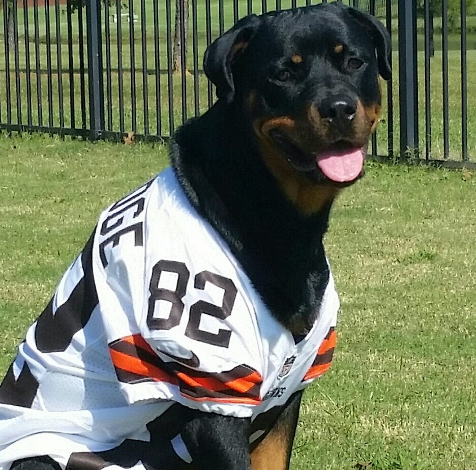 JoBarnidge's tweet photo. LET'S DO THIS! #TimeToBark #DawgPound #Browns #CLEvsPIT @garybarnidge https://t.co/JVAcctdabm