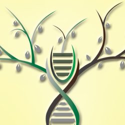 CAGC-ACCG tweet media